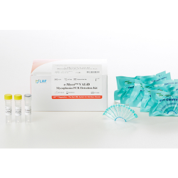 Mycoplasma Detection Kits