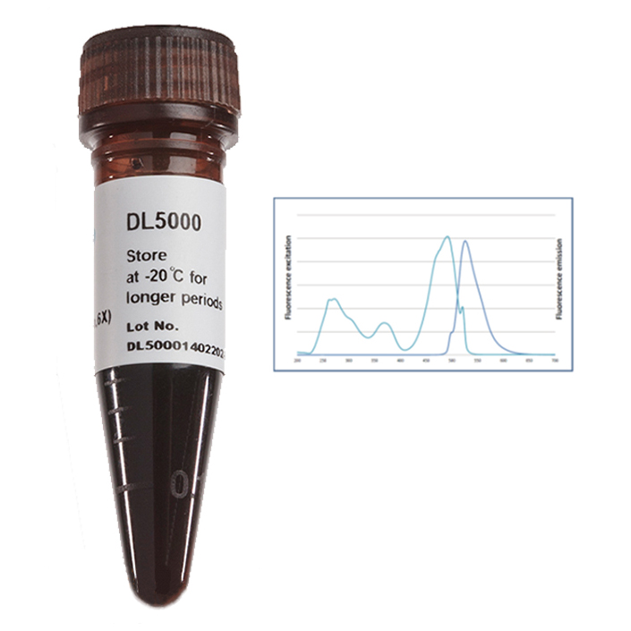 fluorodye dna fluorescent loading dye