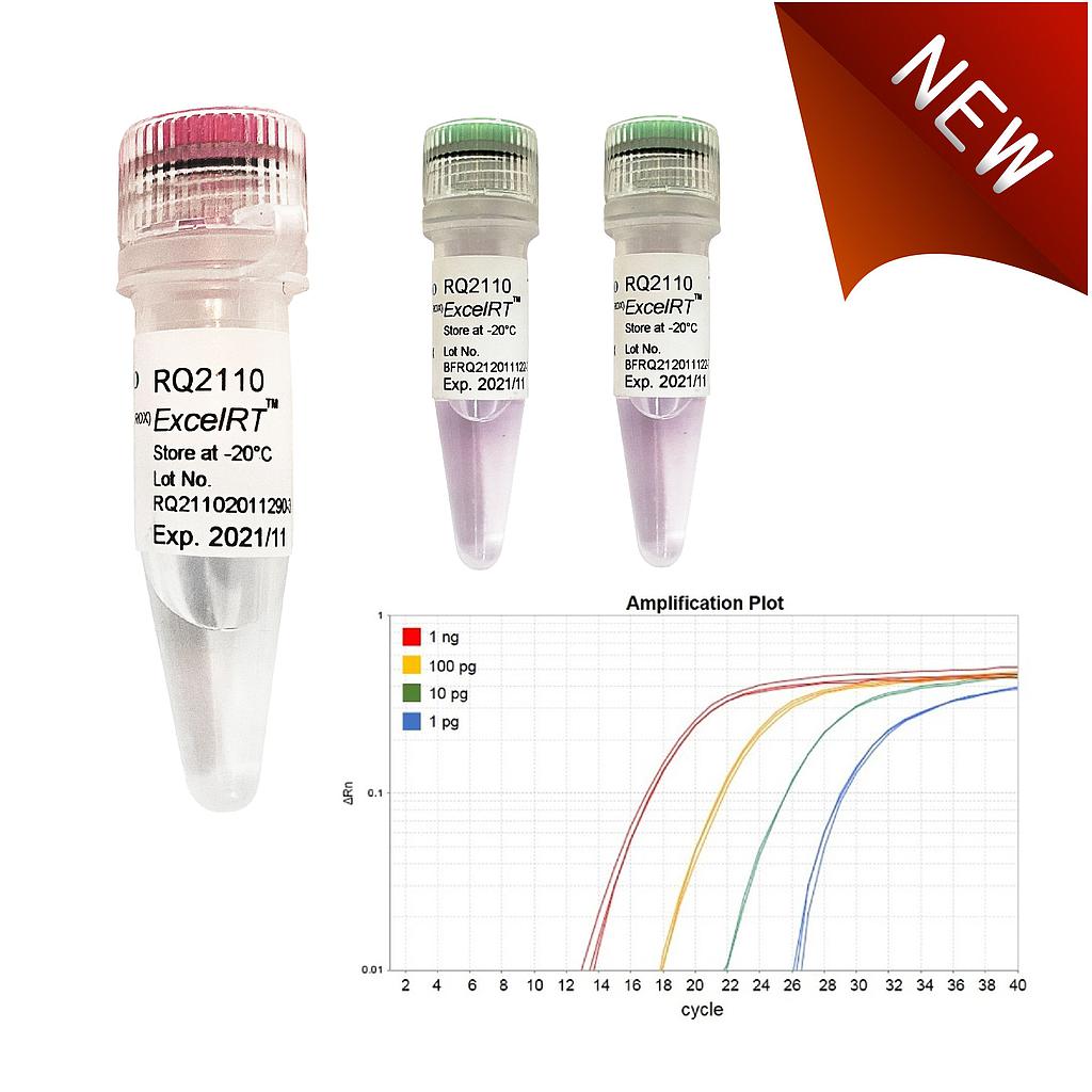 ExcelRT™ OneStep RTqPCR Kit (TaqMan, ROX), 200 Reactions Boca