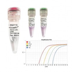 PCR Kits & Polymerases