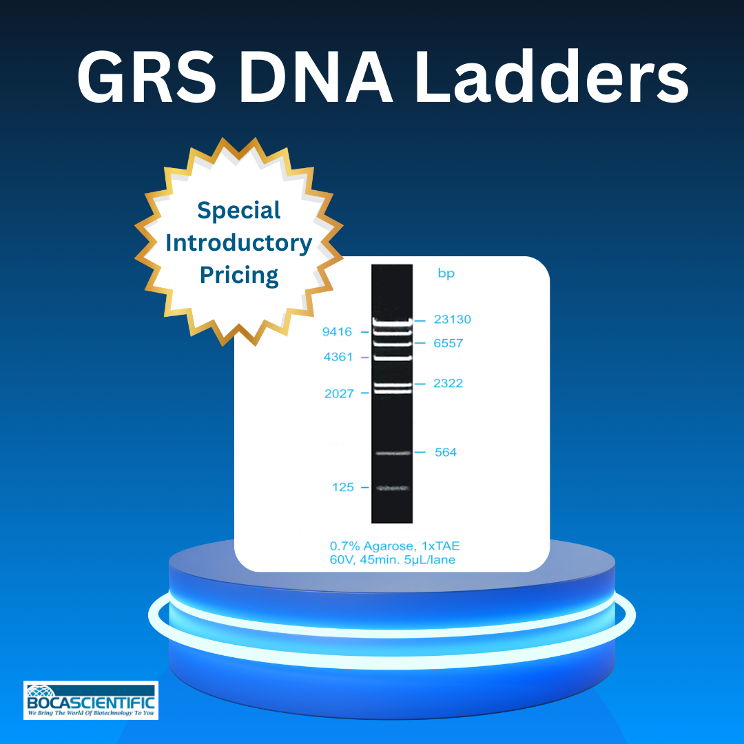 Ready to use Room temperature stable Very sharp bands Internal reference bands for identification 4