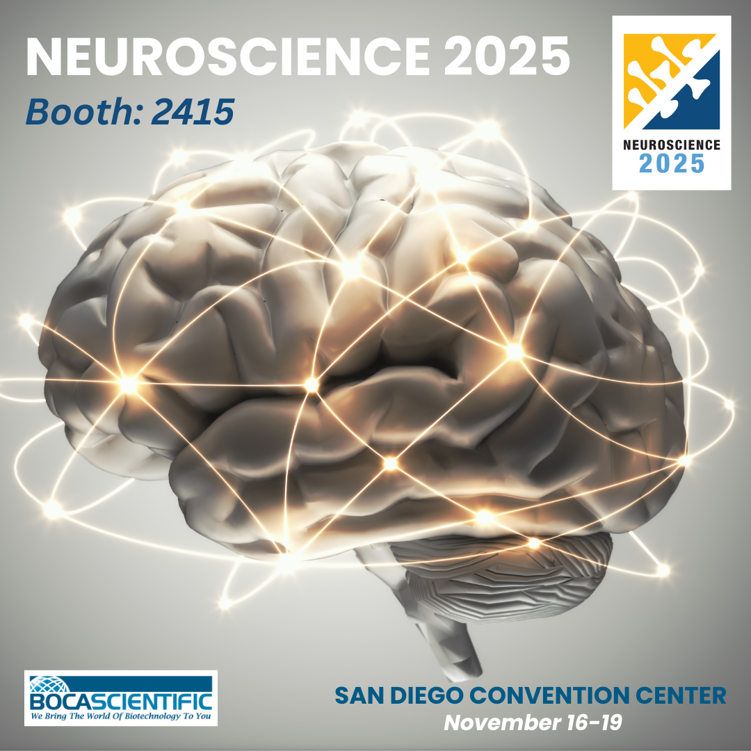 SFN Social