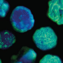 e7bec1f9 c70e e4f5 aa60 e8802e785287