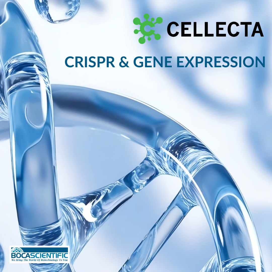 Cellecta Image