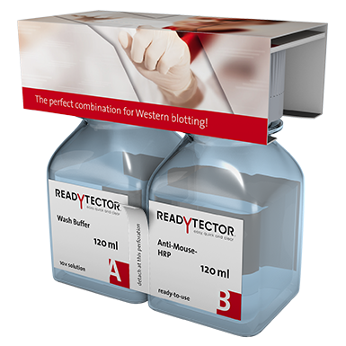 ReadyTector® All-in-One Solution for Western Blotting