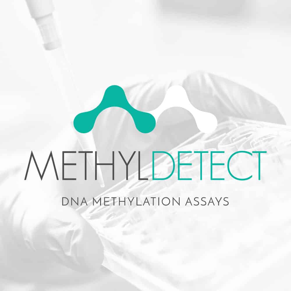DNA Methylation Kits