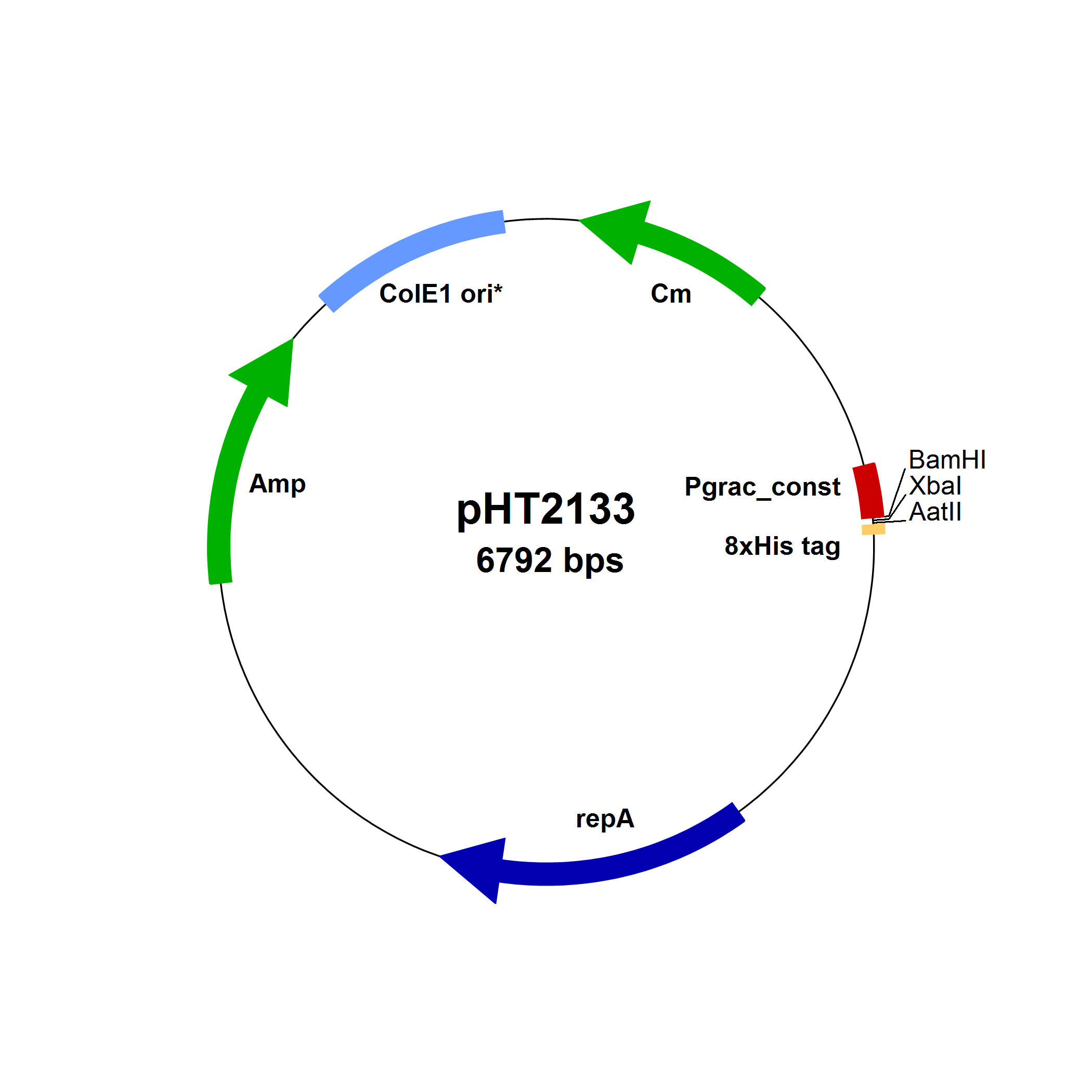Bacillus subtilis constitutive expression vectors, 10µg Boca Scientific