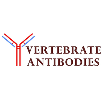 Vertebrate Antibodies