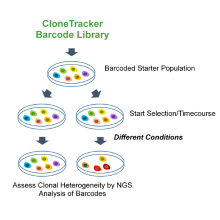 CloneTracker-Barcode-Library-3017x2609-1