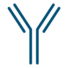 antibody-symbol2