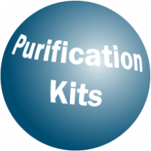 automated-purification-kits