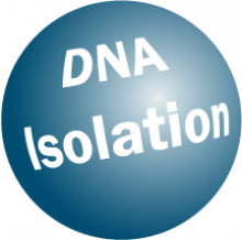 dna-isolation