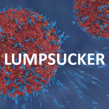 lumpsucker-square