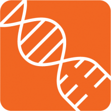 PCR & DNA Polymerase