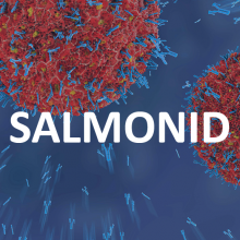 salmonid-square