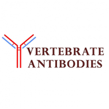 vertebrate-antibodies-limited