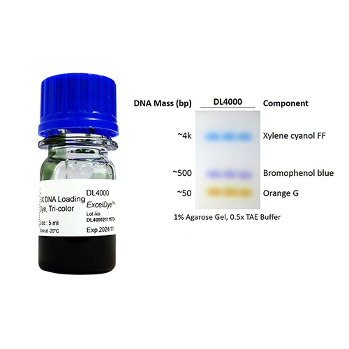 DNA Loading Dyes And Stains ExcelDye 6x DNA Loading Dye Tri Color