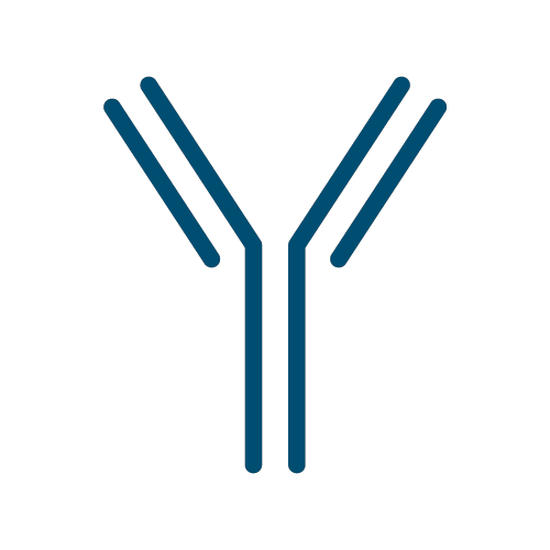 Tag/Control Antibodies: Anti-GST Antibody