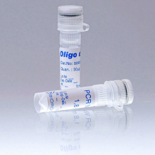 509001-oligo-dt-primer