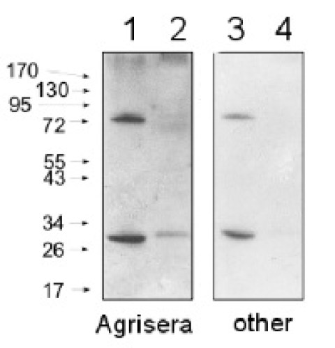 AS09_602-trial