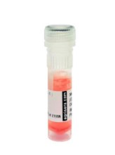 AS16_3138-1ml