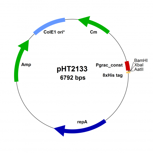 PBS008-pHT2133_2021