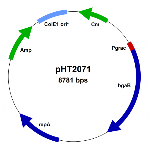 PBS008C-pHT2071_20213