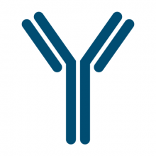 antibody-graphic