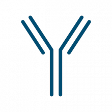 antibody-symbol2