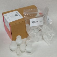 igen-pure-dna-rna-extraction-kit