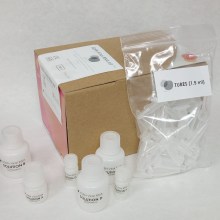 igen-viral-rna-extraction-kit