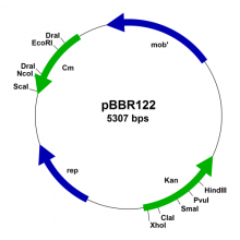 pbbr122-vector-map