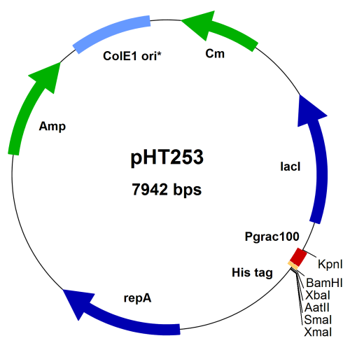 pht253-vector-map
