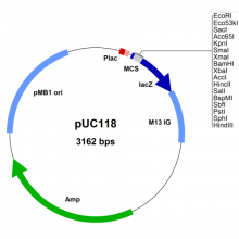 puc118-vector-map