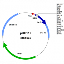 puc119-vector-map